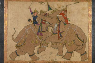 Combattimento di elefanti da School Mughal