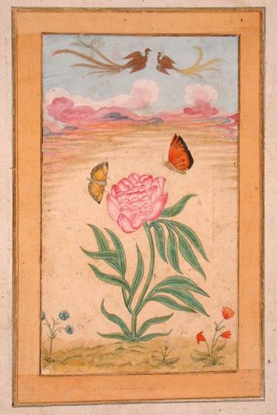 Piante fiorite con uccelli del paradiso e farfalle, dal Piccolo Album Clive da School Mughal