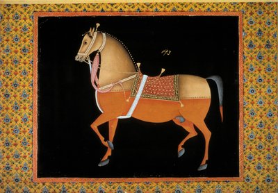 Arte moghul: rappresentazione di uno stallone. Gouache del XVIII secolo da School Mughal