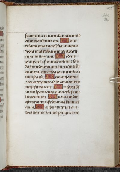 Libro d
