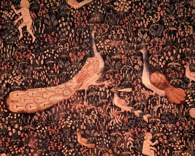 Il sipario della Vita Signorile: dettaglio raffigurante uccelli, pavone da School Netherlandish