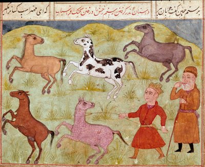Arte islamica: un signore e il suo garzone catturano cavalli selvatici con il lazo. Miniatura persiana da un manoscritto del poema epico 