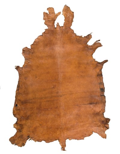 Pelle di Animale, c. 1786 da School Russian