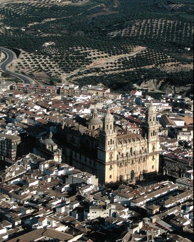 Vista aerea della Cattedrale di Jaen da School Spanish
