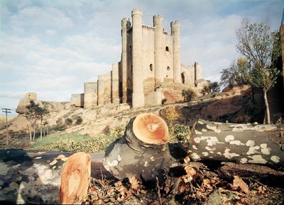 Il Castillo de Coyanza, costruito nel XIV-XV secolo dai Conti di Valencia da School Spanish