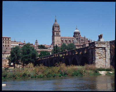 Vista del ponte romano sul fiume Tormes e cattedrale da School Spanish