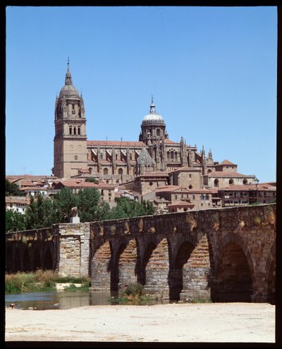 Vista del ponte romano sul fiume Tormes e cattedrale da School Spanish