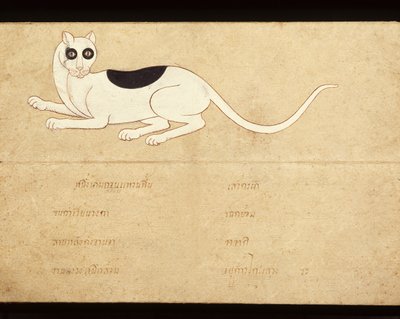 Foglio di un manoscritto sui gatti siamesi, inizio XX secolo da School Thai