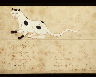 Foglio di un manoscritto sui gatti siamesi, inizio XX secolo da School Thai