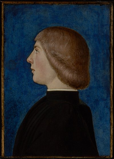 Ritratto di un giovane uomo, seconda metà del XV secolo da School of Ferrare
