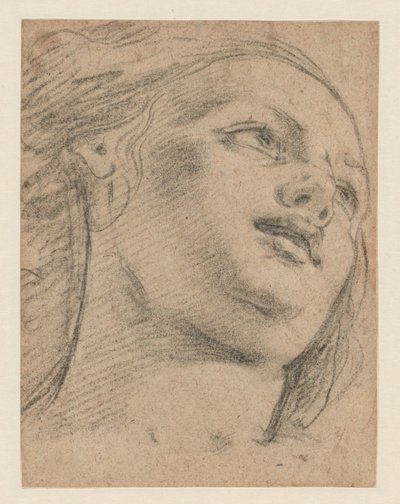 Studio di testa femminile guardando in alto a destra (recto); Studio di due figure che sostengono un oggetto (verso) da School of Guido Reni