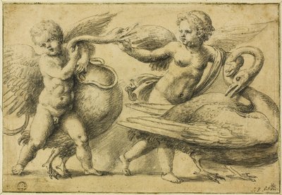 Putti che Giocano con i Cigni da School of Raphael