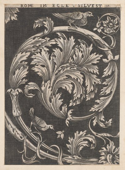 Speculum Romanae Magnificentiae: Foliage ornamentale dalle chiese da School of Raphael