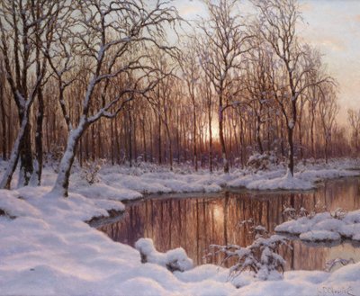 Novembre da Schultze