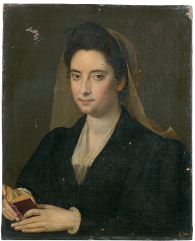 Ritratto di una signora con un libro (