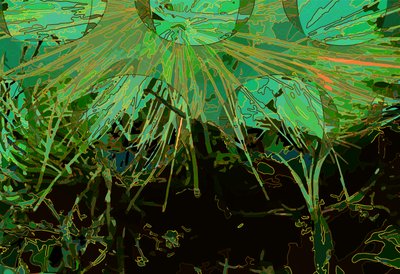 Carciofo_abst_horz2 da Scott J. Davis