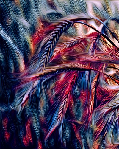 Orzo, 2021 da Scott J. Davis
