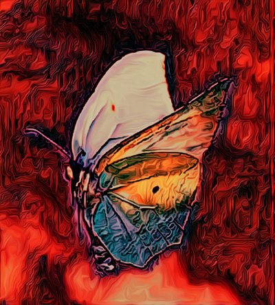 Farfalla, 2021 da Scott J. Davis