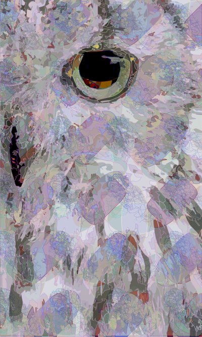 Gufo3 da Scott J. Davis
