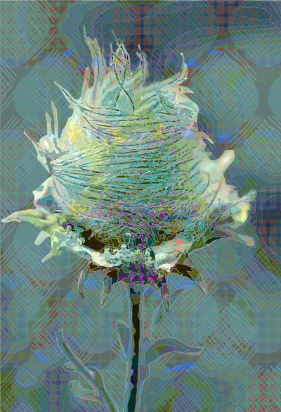 Wood Avens3, 2019 da Scott J. Davis