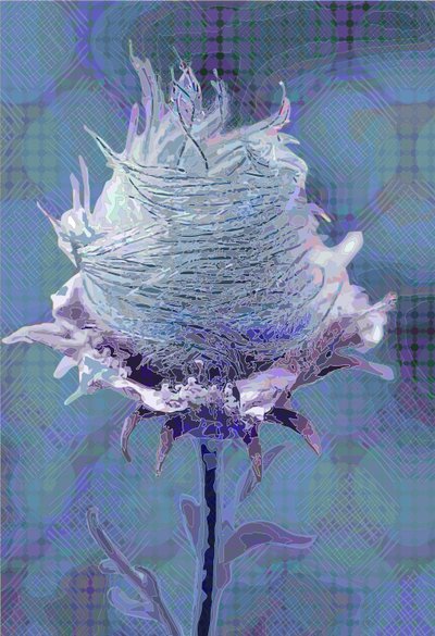 Wood Avens4, 2019 da Scott J. Davis