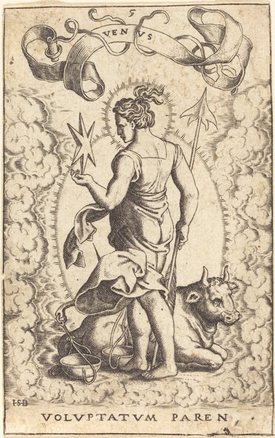 Venere da Sebald Beham