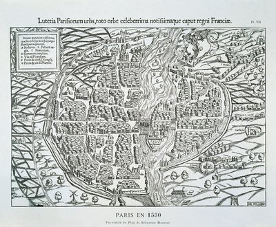 Piano della città di Parigi c.1530 da Sebastian (after) Münster