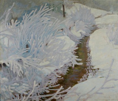Ruscello in inverno da Sebastian Isepp