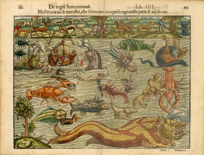  da Sebastian & Magnus Olaus (1490-1557) Münster