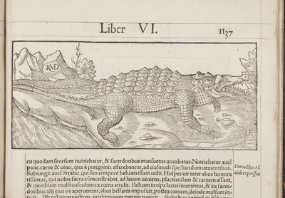Cosmographia, Fol 1137, 1544 da Sebastian Munster
