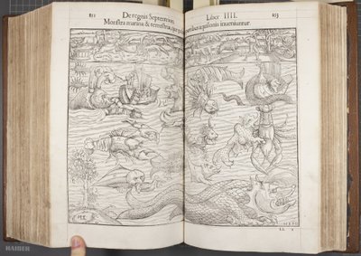 Cosmographia, Fol 852-853, 1544 da Sebastian Munster