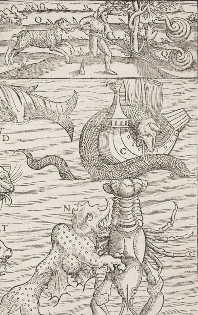 Cosmographia, Fol 853, 1544 da Sebastian Munster