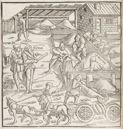 Cosmographia, (dettaglio) da Sebastian Munster