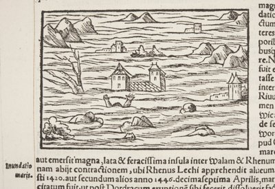 Cosmographia (dettaglio) da Sebastian Munster