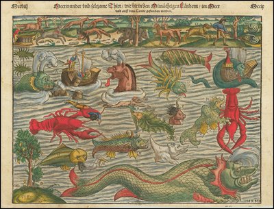 Meraviglie del mare e animali strani, come si trovano nei paesi limitrofi in mare e sulla terraferma da Sebastian Munster