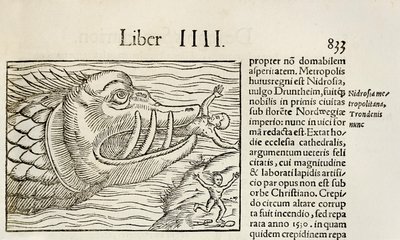 Balena mostruosa che divora umani, dall