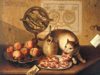 Natura morta con gatto da Sebastiano Lazzari