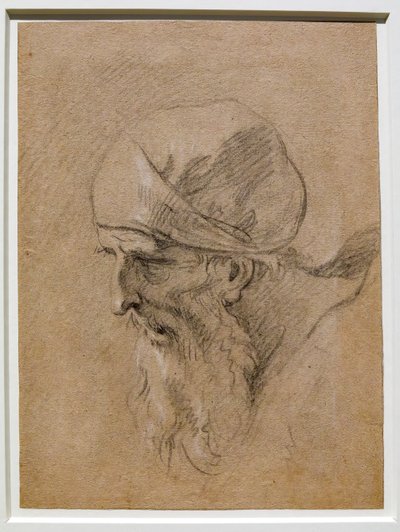 Testa di un vecchio da Sebastiano Ricci