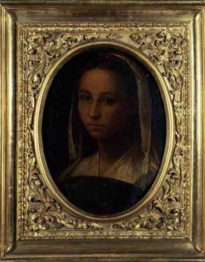 Ritratto di una ragazza da Sebastiano del (c.1485 1547) Piombo