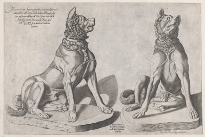 Speculum Romanae Magnificentiae: Due cani da Sebastiano di Re