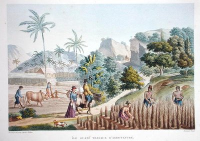 Lavoratori agricoli, Guam, Filippine, da 