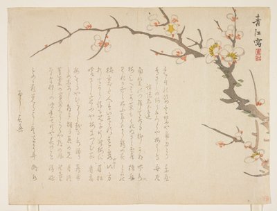 Prugno in fiore da Seik Hashimoto