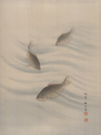 Pesci che nuotano, ca. 1890-92 da Seki Shuko