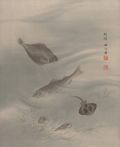 Pesci da Seki Shuko