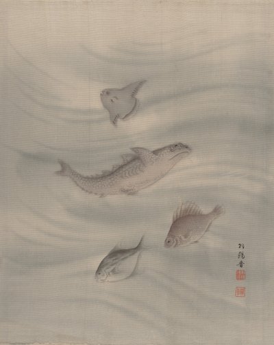 Pesci da Seki Shuko
