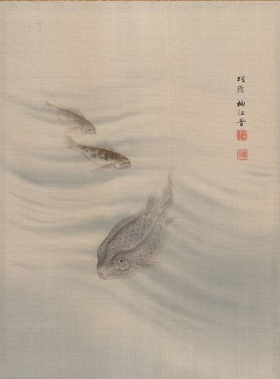 Pesci, ca. 1890-92 da Seki Shuko