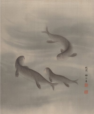 Lontra che nuotano, ca. 1890-92 da Seki Shuko