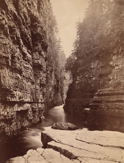 Ausable Chasm - Su per il fiume da Table Rock da Seneca Ray Stoddard