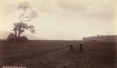 A sud di Ames, Nord Elba, c. 1888 (foto) da Seneca Ray Stoddard