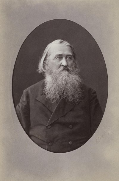 Ritratto del poeta Aleksey Nikolayevich Pleshcheyev 1825-1893, 1870 da Sergei Lvovich Levitsky